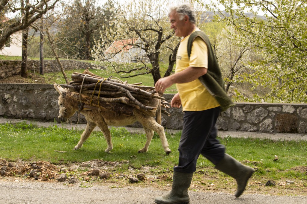 Ania w podrozy - Czarnogora - VI 2015-173