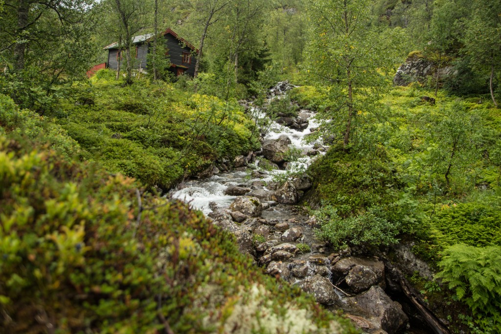 Ania_w_podrozy-blog-Norwegia-2015 (158)