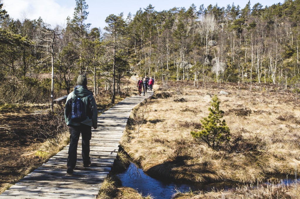 Ania-w-Podróży-2016-Norwegia-Preikestolen-BLOG-27