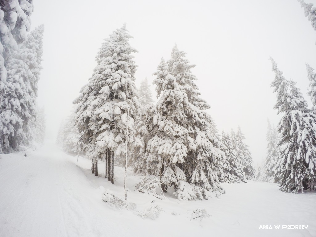 Anna-Nowokunska-KARKONOSZE-XI-2016-GoPro-BEST-OF-4